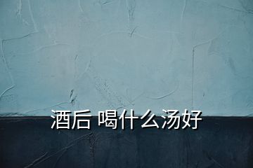 酒后 喝什么汤好