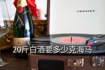 20斤白酒要多少克海马