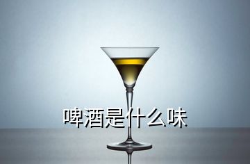 啤酒是什么味