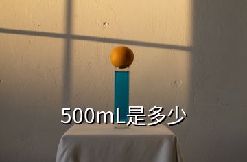 500mL是多少