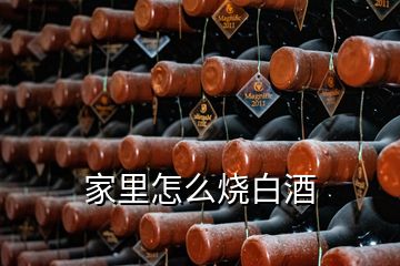 家里怎么烧白酒