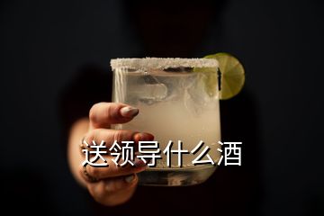 送领导什么酒