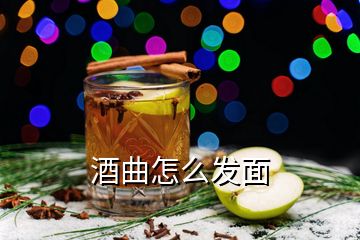 酒曲怎么发面