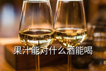 果汁能对什么酒能喝