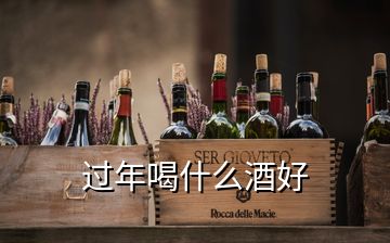 过年喝什么酒好