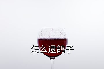 怎么逮鸽子