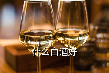 什么白酒好