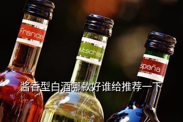 酱香型白酒哪款好谁给推荐一下