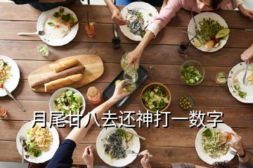 月尾廿八去还神打一数字