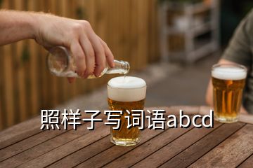 照样子写词语abcd