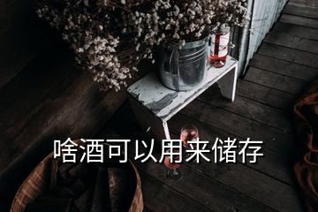 啥酒可以用来储存