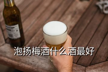 泡扬梅酒什么酒最好