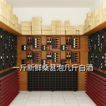 一斤新鲜桑葚泡几斤白酒