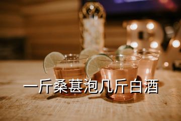 一斤桑葚泡几斤白酒