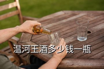 温河王酒多少钱一瓶