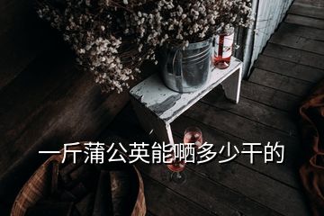 一斤蒲公英能嗮多少干的