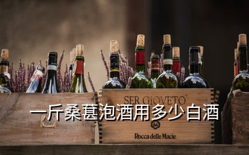 一斤桑葚泡酒用多少白酒