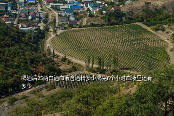 喝酒后25两白酒血液含酒精多少喝完6个小时血液里还有多少