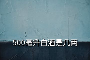 500毫升白酒是几两