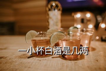 一小杯白酒是几两