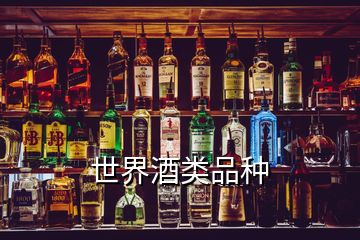 世界酒类品种