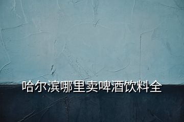 哈尔滨哪里卖啤酒饮料全