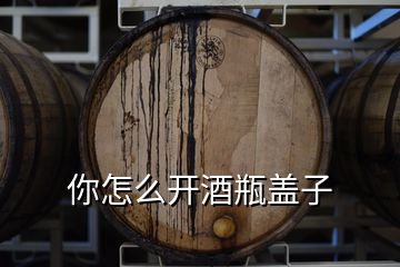 你怎么开酒瓶盖子