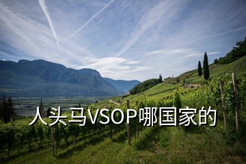 人头马VSOP哪国家的