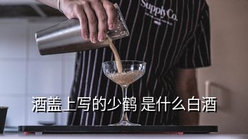 酒盖上写的少鹤 是什么白酒