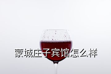 蒙城庄子宾馆怎么样