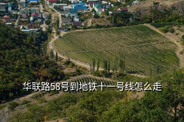 华联路58号到地铁十一号线怎么走