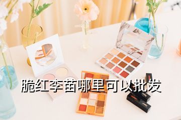 脆红李苗哪里可以批发