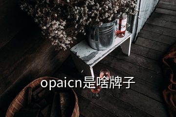 opaicn是啥牌子