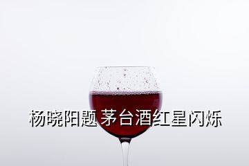 杨晓阳题 茅台酒红星闪烁