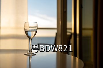 粤BDW821