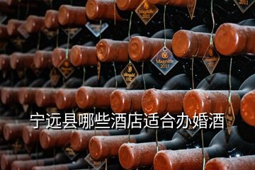 宁远县哪些酒店适合办婚酒