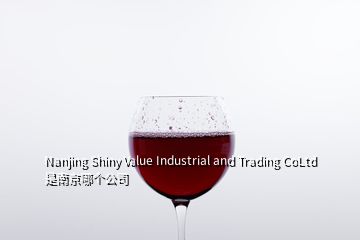 Nanjing Shiny Value Industrial and Trading CoLtd 是南京哪个公司