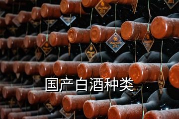 国产白酒种类