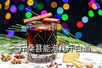 一斤桑葚能泡几斤白酒