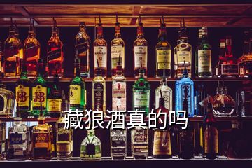 藏狼酒真的吗