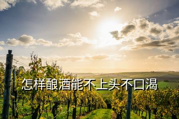 怎样酿酒能不上头不口渴