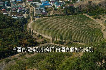 白酒真假辨别小窍门 白酒真假如何辨别