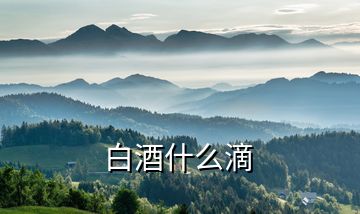 白酒什么滴