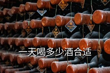 一天喝多少酒合适