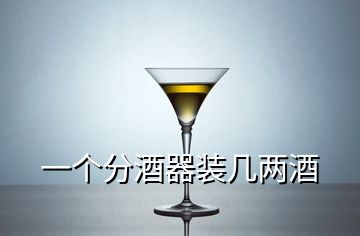 一个分酒器装几两酒