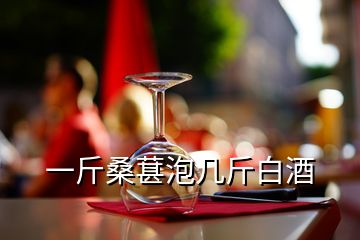 一斤桑葚泡几斤白酒