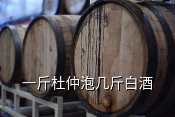 一斤杜仲泡几斤白酒