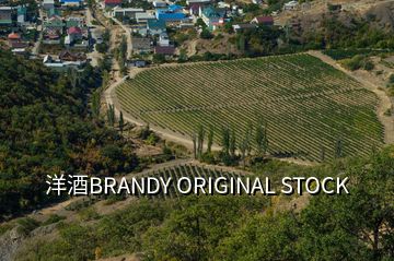 洋酒BRANDY ORIGINAL STOCK