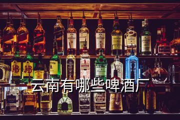 云南有哪些啤酒厂