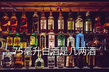 75毫升白酒是几两酒